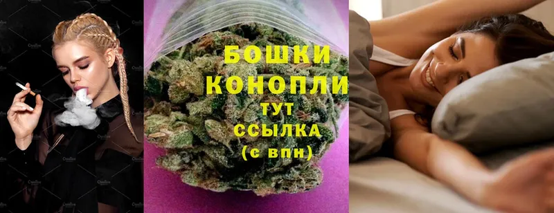 купить   Артёмовский  Канабис White Widow 